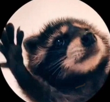 ☆Trash Panda☆
