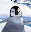 happypenguin
