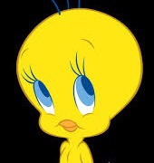 Tweety bird