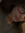 tilly | 13 comments
