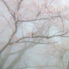 Hannah ૮꒰ ˶• ༝ •˶꒱ა 