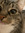 Caty