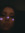 Lauren | 3 comments