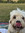 member photo member photo
