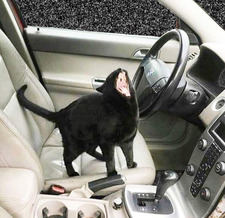 LordNeed Blastprocessing