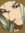 ZAKULF