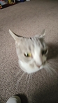 Katie