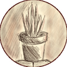Potted Plant
