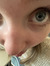 Tova Glad
