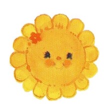 ☼