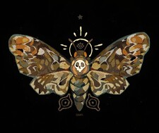 Icarus