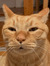 Alistair 