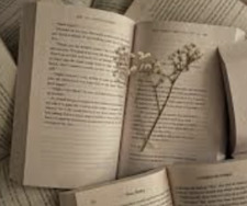 matéa ✩‧₊˚ ˚ ༘♡ ⋆｡˚