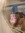 Alisha