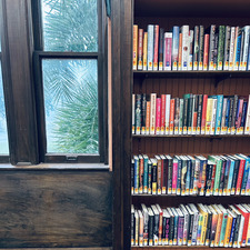 Library Mouse Alli