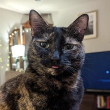 Lily