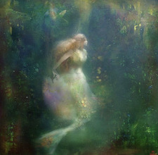 veerleonanelderflower