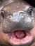 Femke