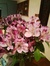 Clare