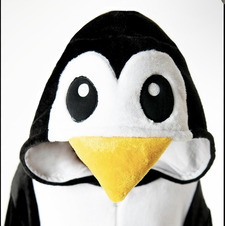 Птах Патини