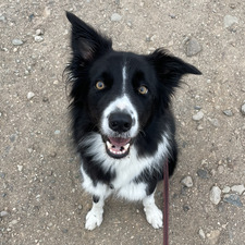 Vicky gonzález arencibia 