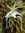 T.S. Phylax | 1 comments
