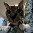 Maggie