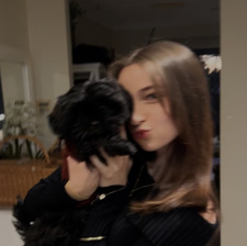 holly :)