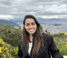 Brisa