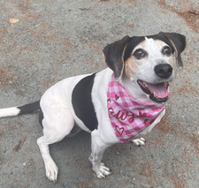 Suzanne van Staveren