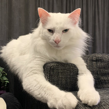 Stephanie Houldsworth