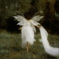 mia ˚ ༘ ೀ⋆｡˚