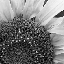 Ilze Karklins-Powers