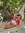 Amy Butwell