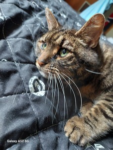 Christy Halliday-macewan