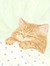 iga ᵔᴥᵔ
