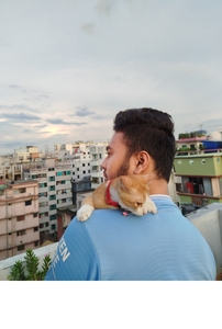 মাহাদী হাসান রাতুল 