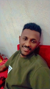 عامر سنهوري