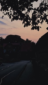 Kolja