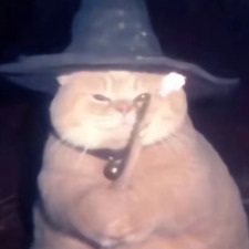 Pat