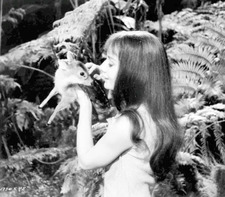 Emely ౨ৎ ⋆｡˚ ⋆