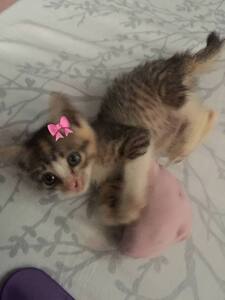 Ashreads ⋆౨ৎ˚⟡˖ ࣪