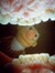 Leonie