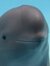 Beluga