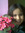 İrem