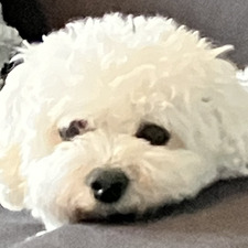 Susie