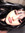 nicola :3 | 17 comments