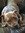 Riley X | 2 comments