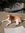 Sebastian Dyhr