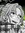 Ann